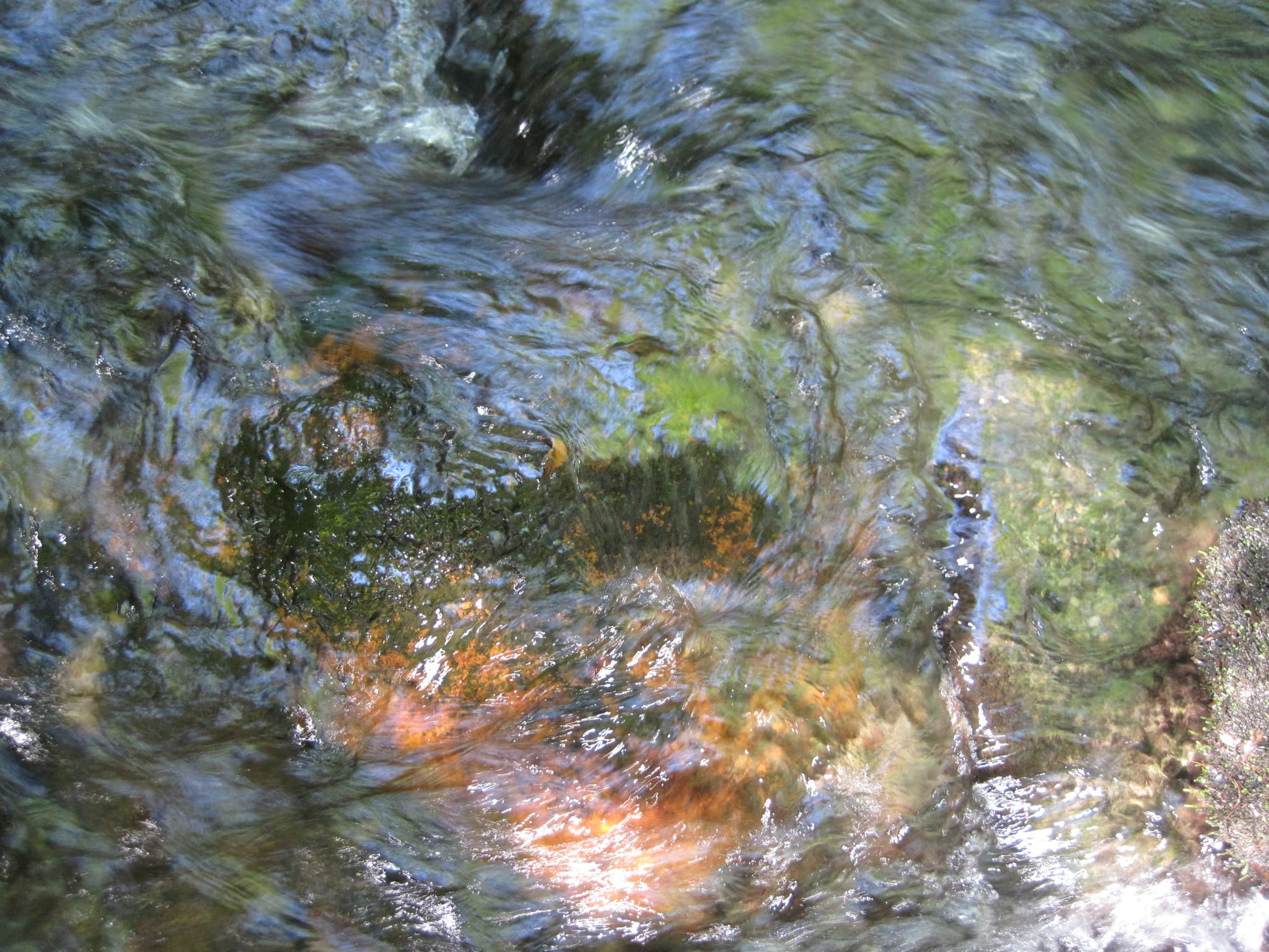 Hazel Creek Hike - Great Smoky Mountains, NC 126