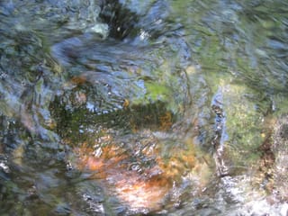 Hazel Creek Hike - Great Smoky Mountains, NC 126