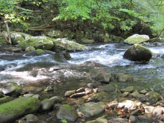Hazel Creek Hike - Great Smoky Mountains, NC 131