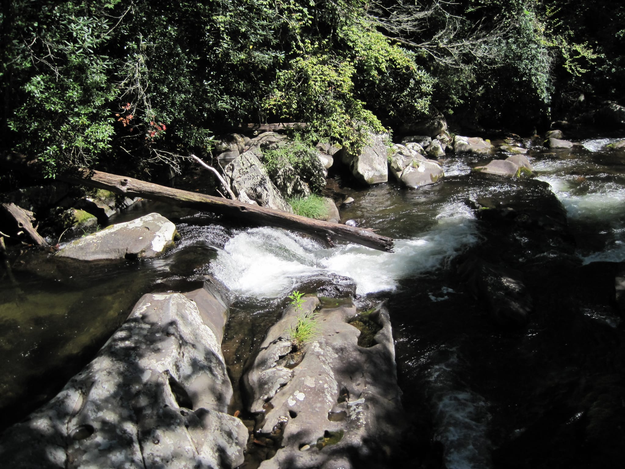 Hazel Creek Hike - Great Smoky Mountains, NC 137