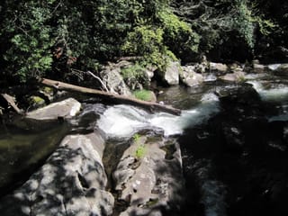 Hazel Creek Hike - Great Smoky Mountains, NC 137