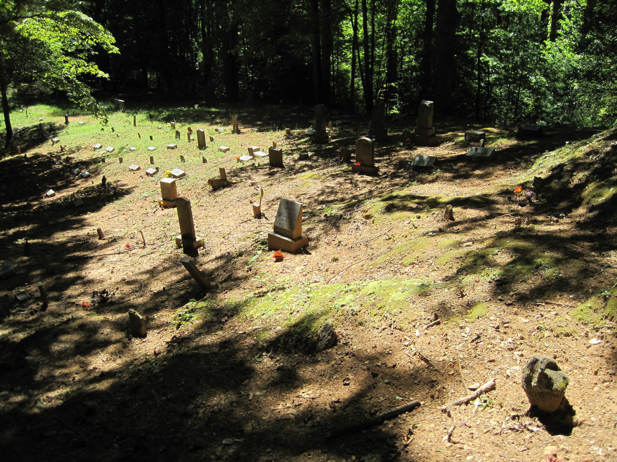 Hazel Creek Hike - Great Smoky Mountains, NC 144