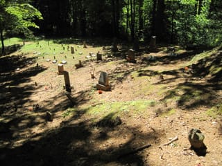 Hazel Creek Hike - Great Smoky Mountains, NC 144