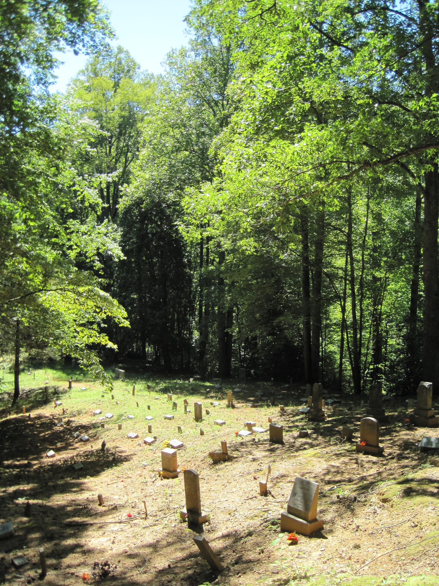 Hazel Creek Hike - Great Smoky Mountains, NC 247
