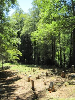 Hazel Creek Hike - Great Smoky Mountains, NC 247