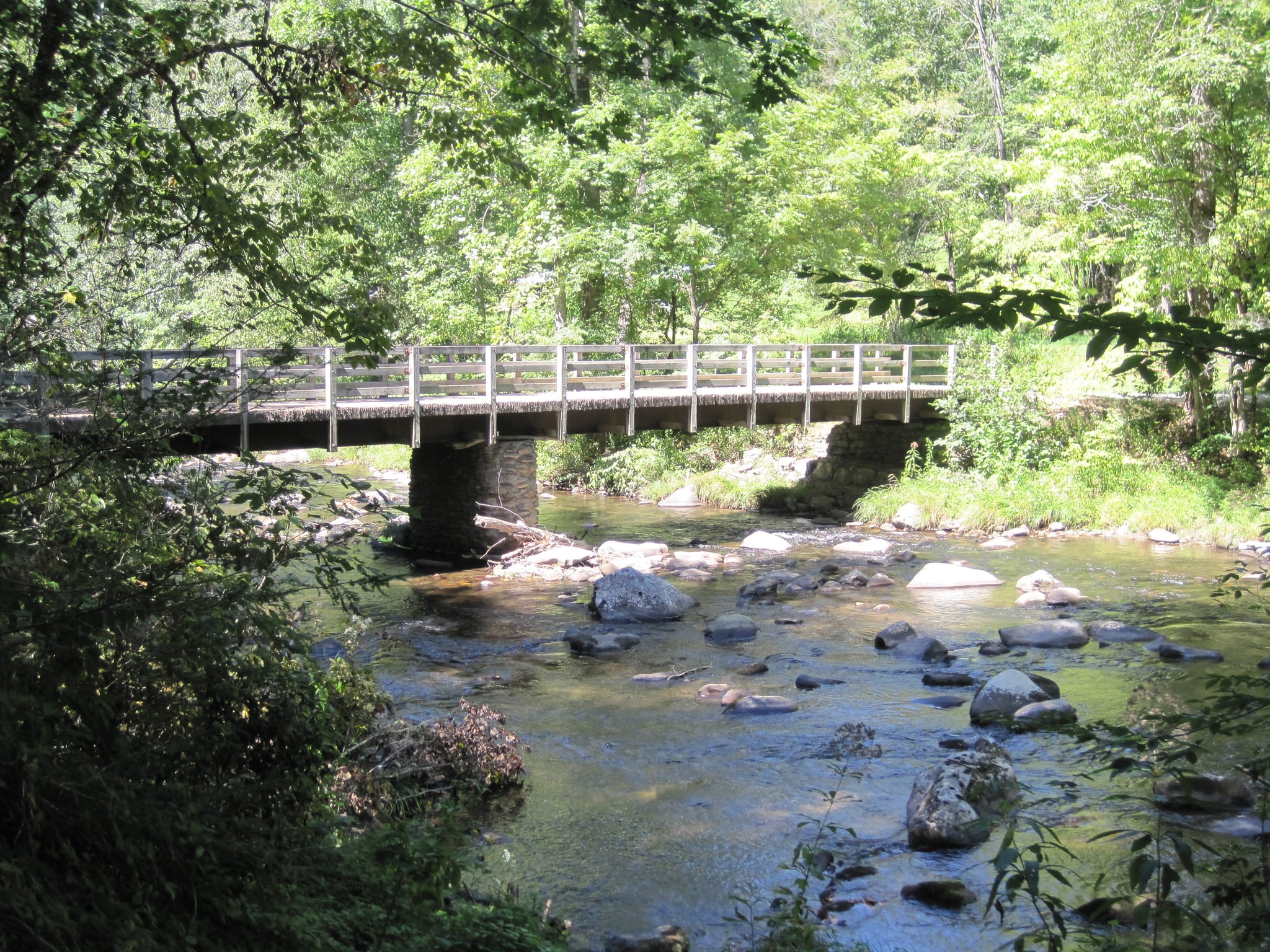 Hazel Creek Hike - Great Smoky Mountains, NC 146