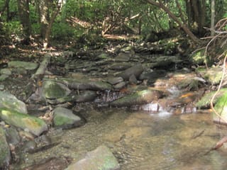 Hazel Creek Hike - Great Smoky Mountains, NC 7