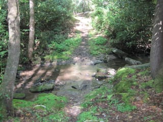 Hazel Creek Hike - Great Smoky Mountains, NC 8
