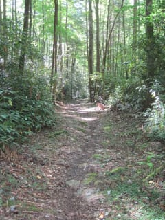 Hazel Creek Hike - Great Smoky Mountains, NC 190