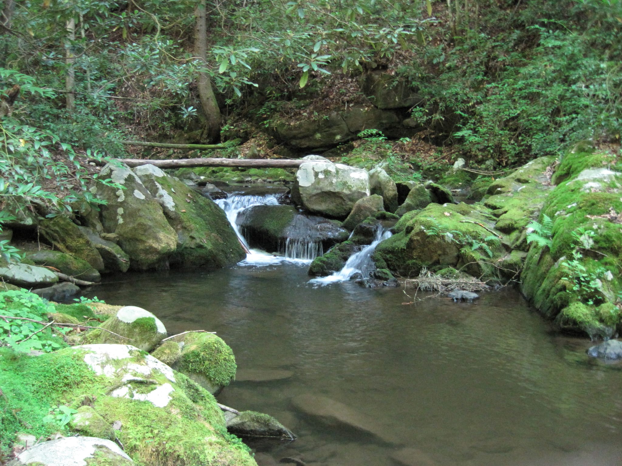 Hazel Creek Hike - Great Smoky Mountains, NC 193