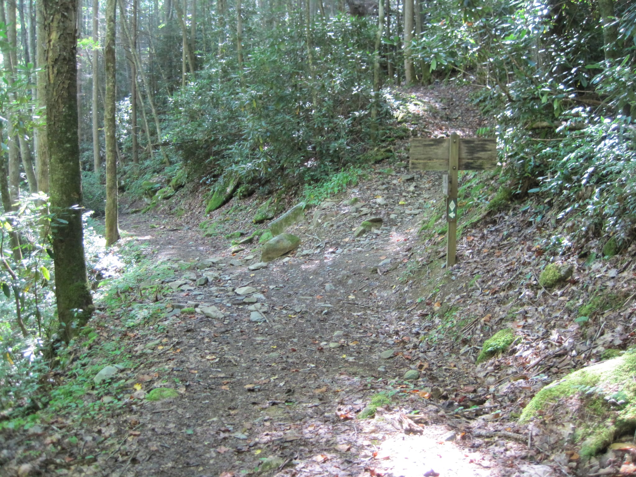 Hazel Creek Hike - Great Smoky Mountains, NC 14