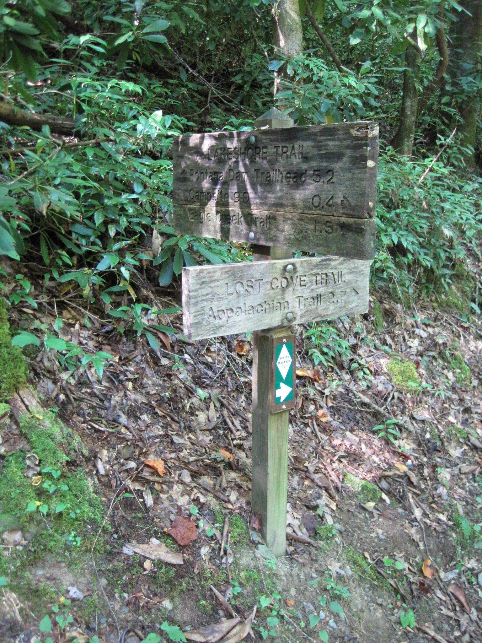 Hazel Creek Hike - Great Smoky Mountains, NC 196
