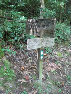 Hazel Creek Hike - Great Smoky Mountains, NC 196