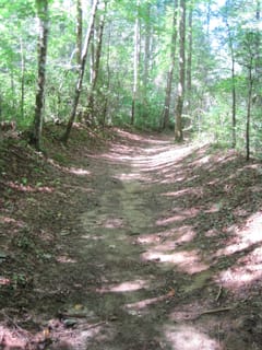 Hazel Creek Hike - Great Smoky Mountains, NC 201