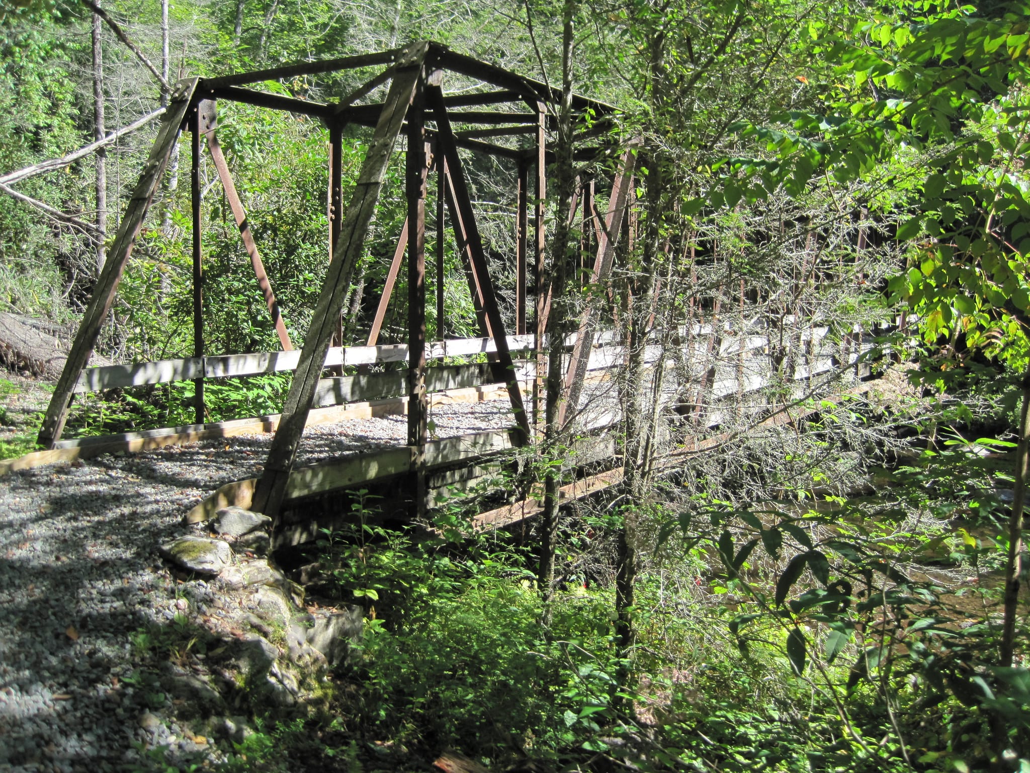 Hazel Creek Hike - Great Smoky Mountains, NC 19