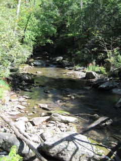 Hazel Creek Hike - Great Smoky Mountains, NC 203