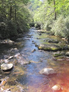 Hazel Creek Hike - Great Smoky Mountains, NC 204