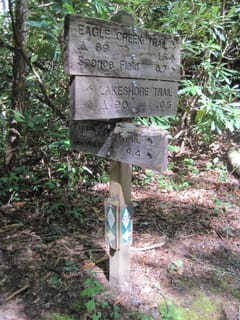 Hazel Creek Hike - Great Smoky Mountains, NC 206