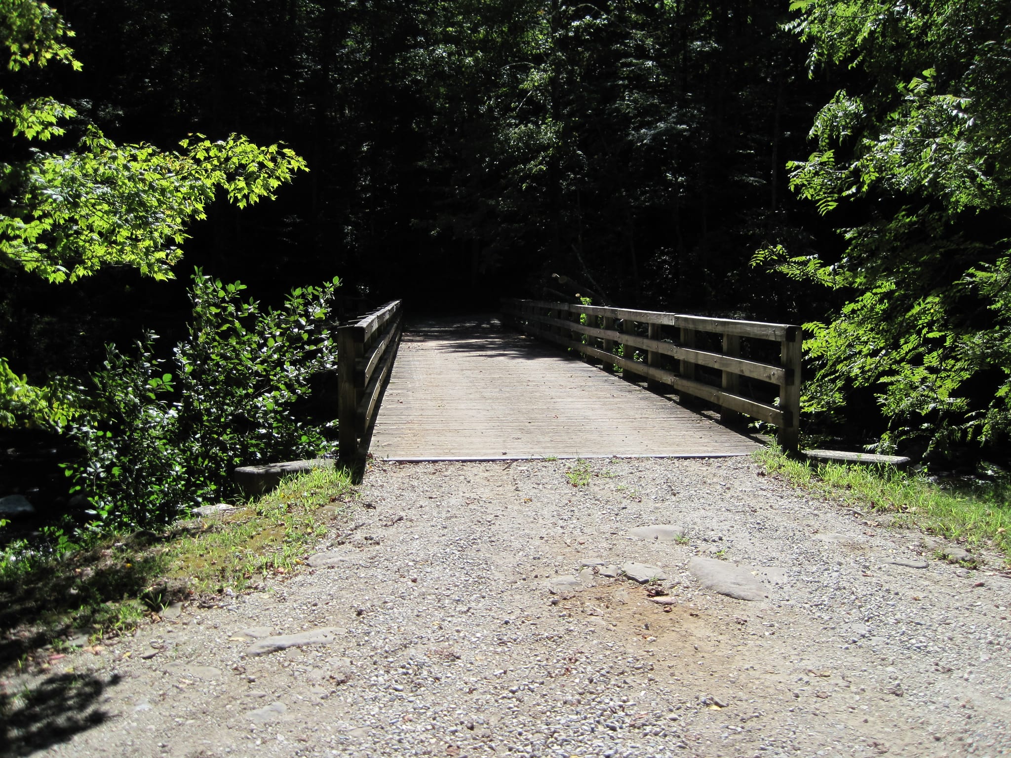 Hazel Creek Hike - Great Smoky Mountains, NC 26