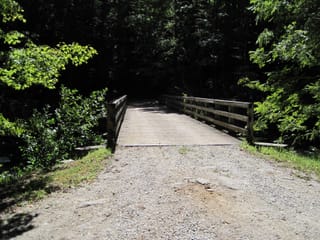 Hazel Creek Hike - Great Smoky Mountains, NC 26