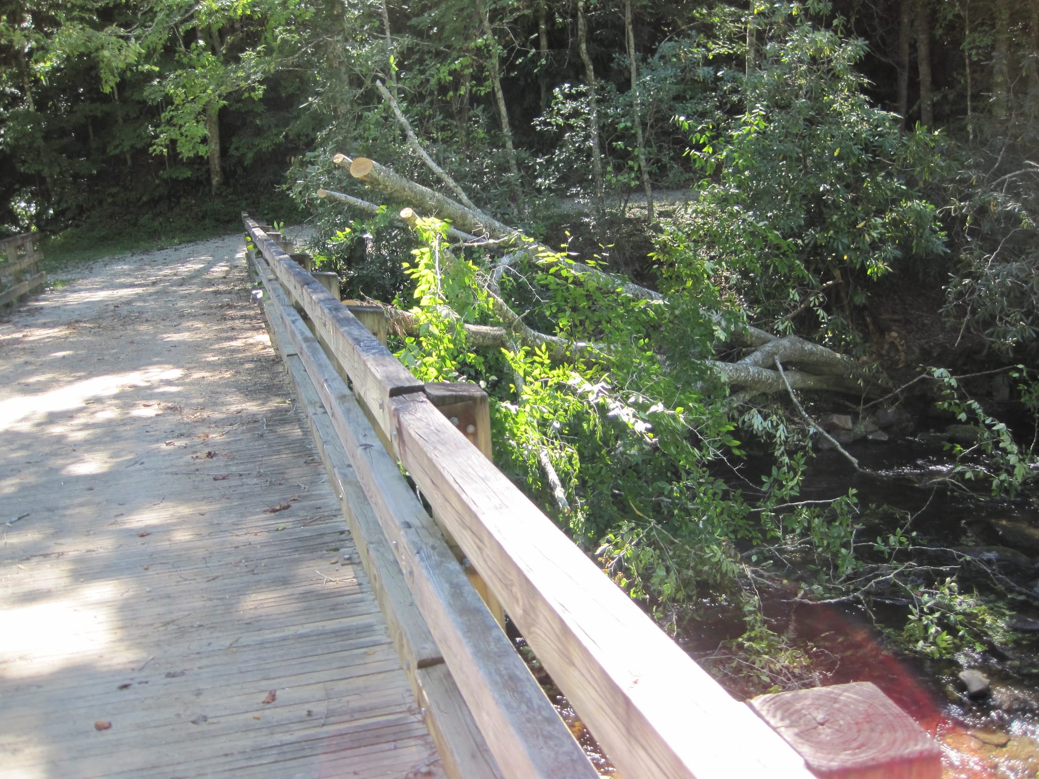 Hazel Creek Hike - Great Smoky Mountains, NC 28