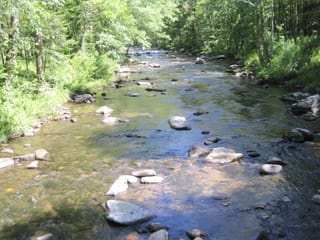 Hazel Creek Hike - Great Smoky Mountains, NC 29