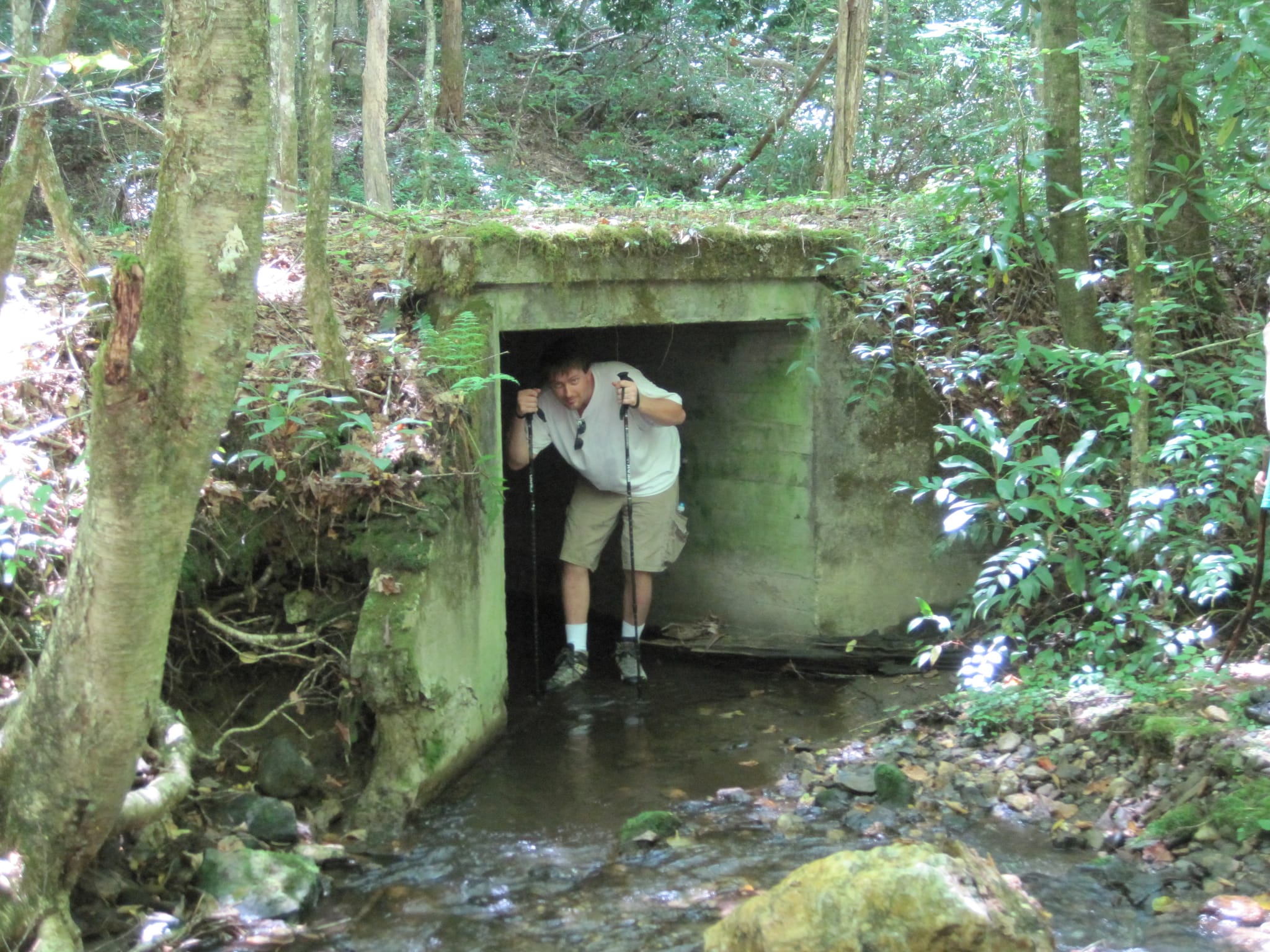 Hazel Creek Hike - Great Smoky Mountains, NC 32