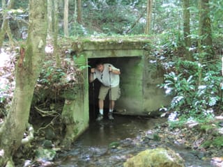 Hazel Creek Hike - Great Smoky Mountains, NC 32