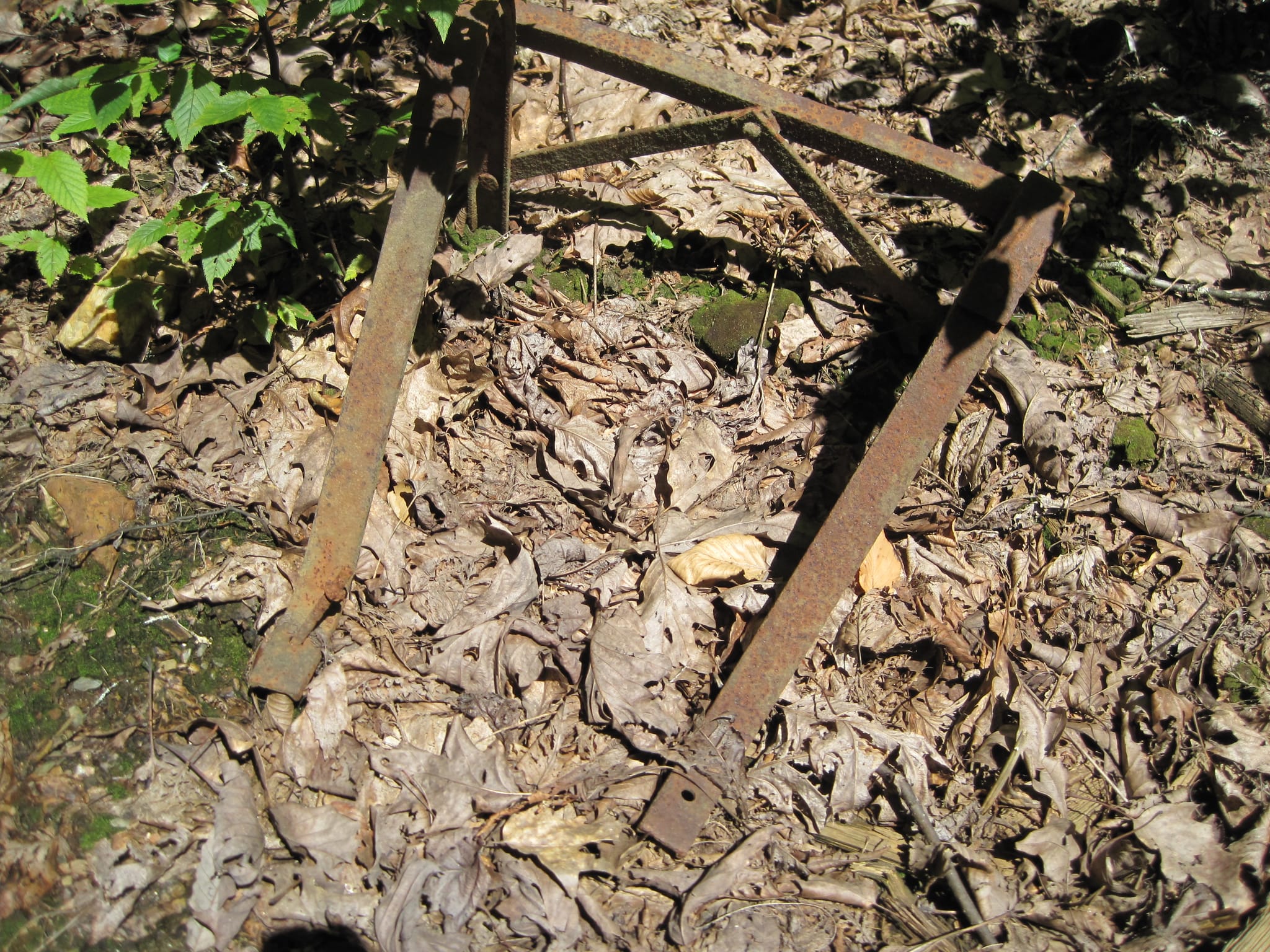 Hazel Creek Hike - Great Smoky Mountains, NC 36