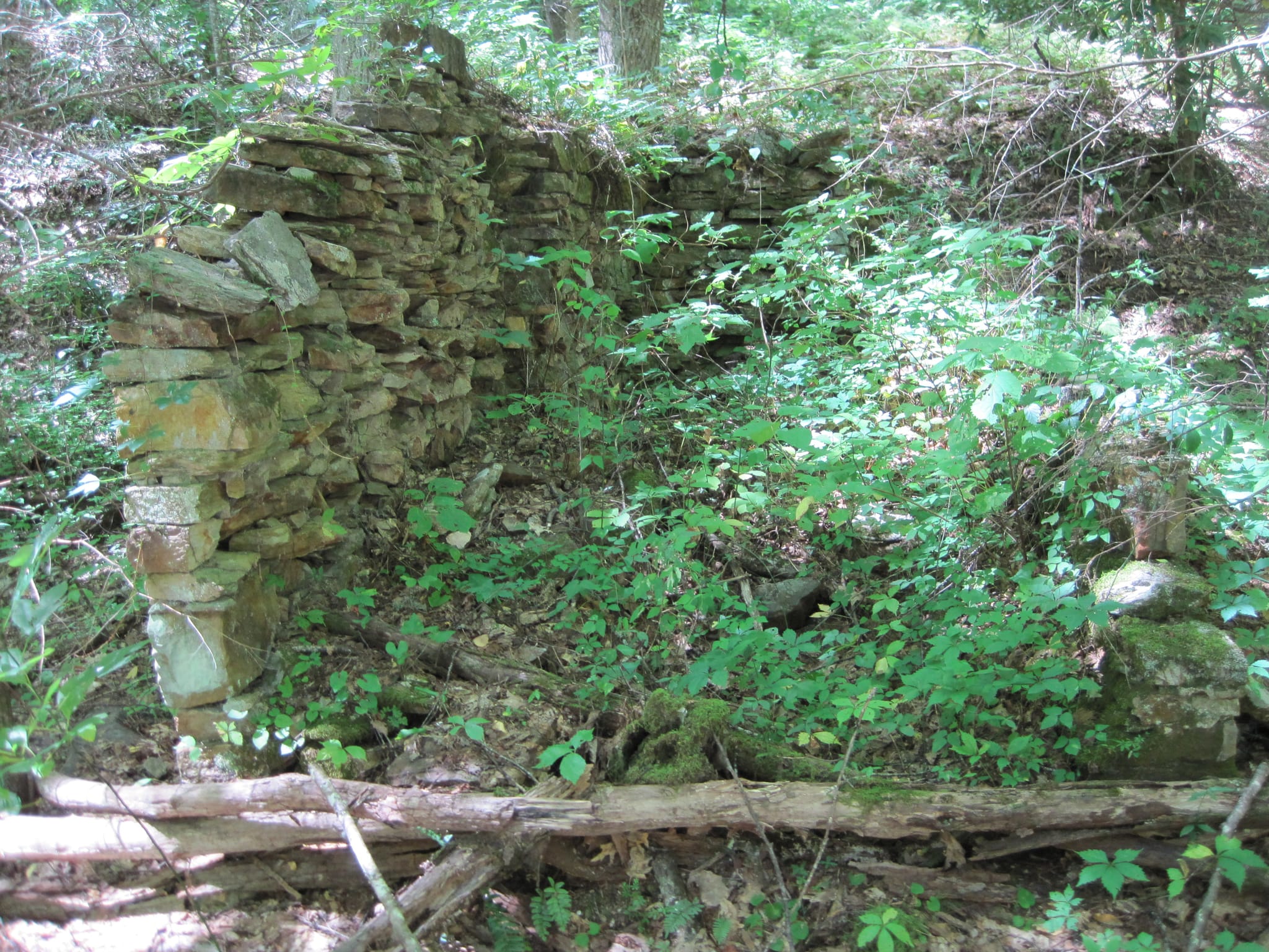 Hazel Creek Hike - Great Smoky Mountains, NC 38