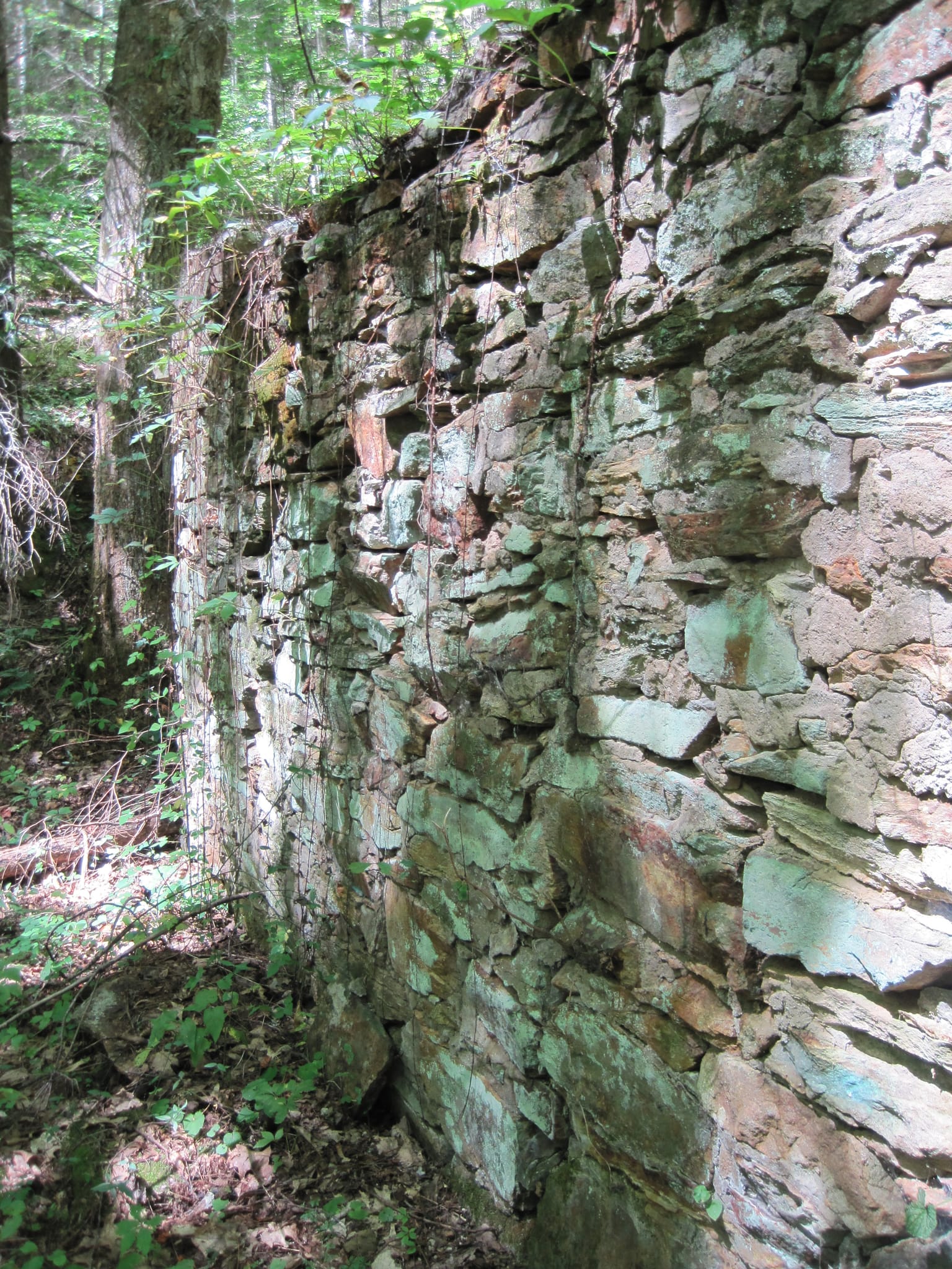 Hazel Creek Hike - Great Smoky Mountains, NC 216