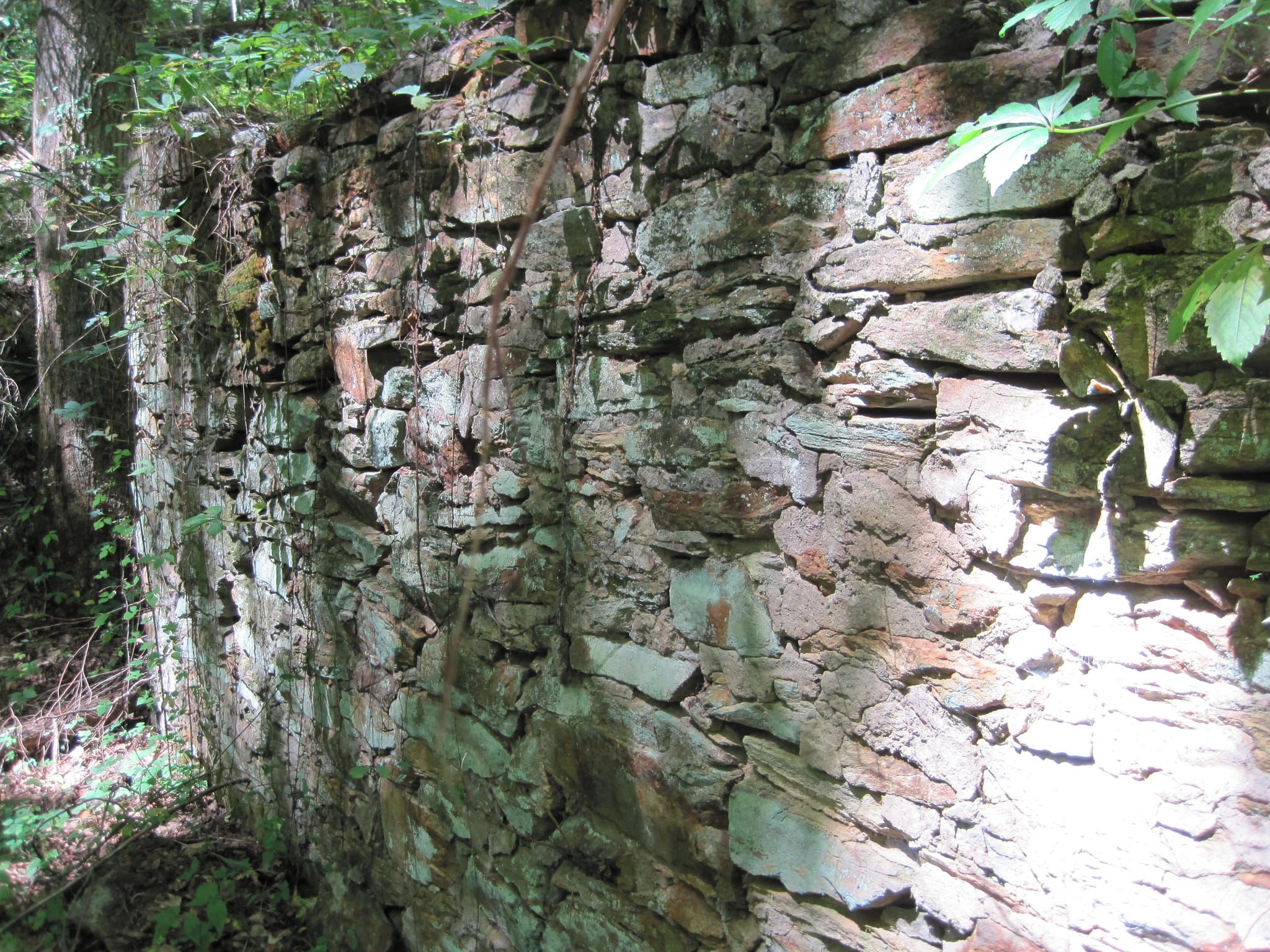 Hazel Creek Hike - Great Smoky Mountains, NC 39