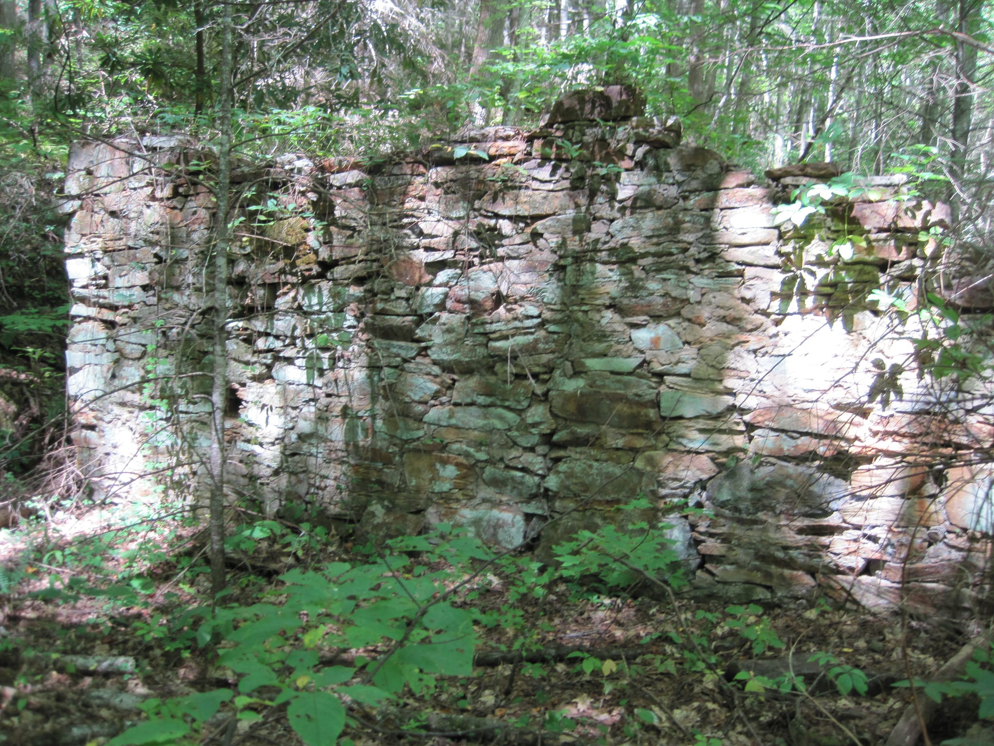Hazel Creek Hike - Great Smoky Mountains, NC 40