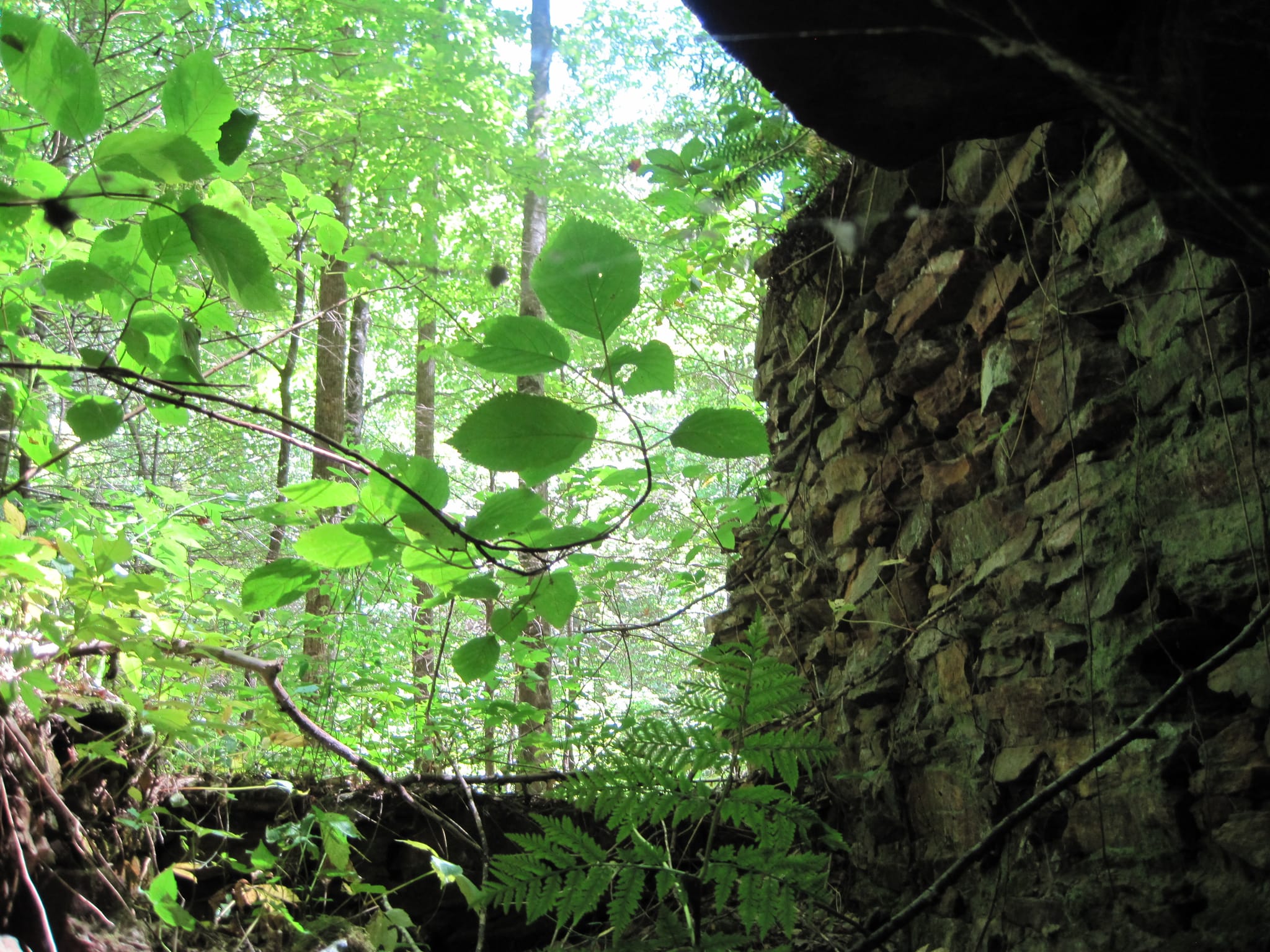 Hazel Creek Hike - Great Smoky Mountains, NC 43