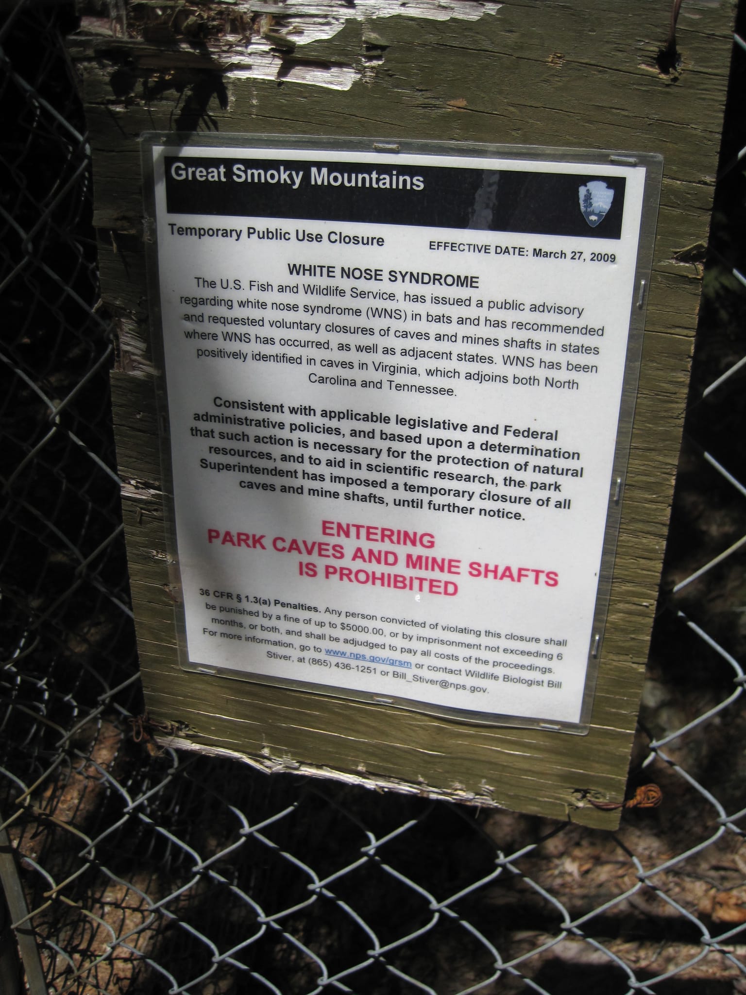 Hazel Creek Hike - Great Smoky Mountains, NC 223