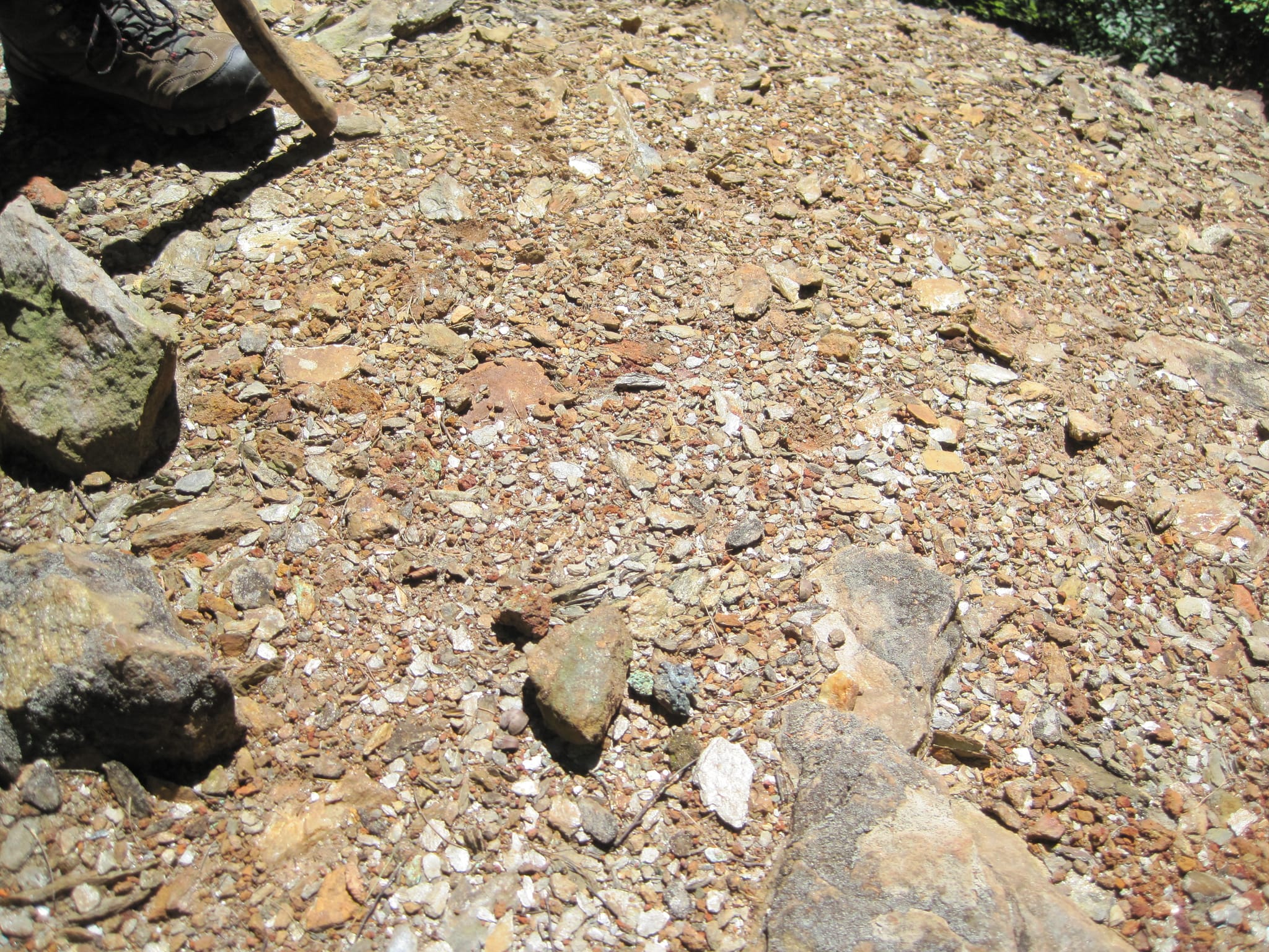 Hazel Creek Hike - Great Smoky Mountains, NC 57