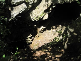 Hazel Creek Hike - Great Smoky Mountains, NC 58