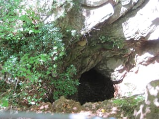 Hazel Creek Hike - Great Smoky Mountains, NC 61