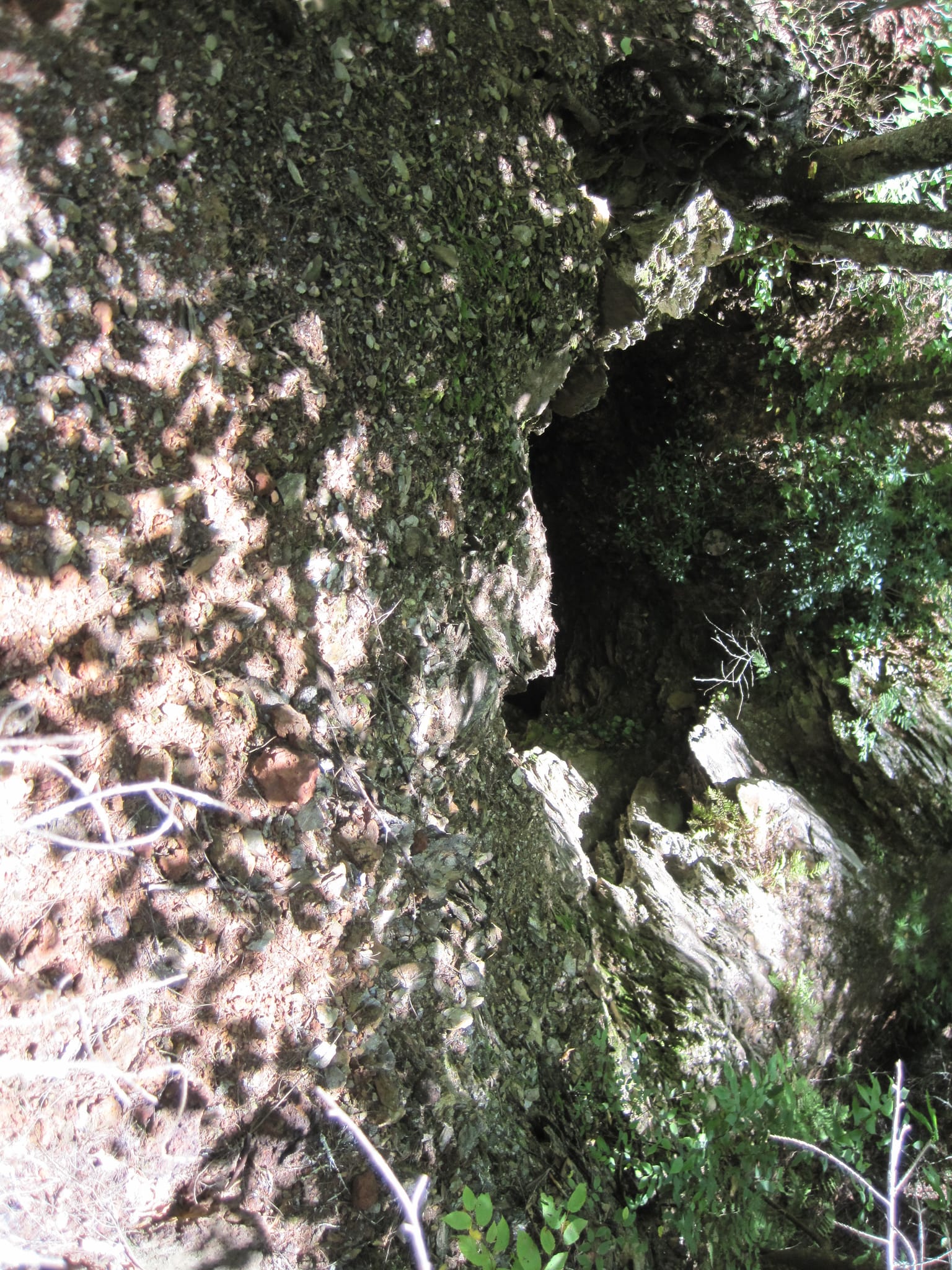 Hazel Creek Hike - Great Smoky Mountains, NC 63