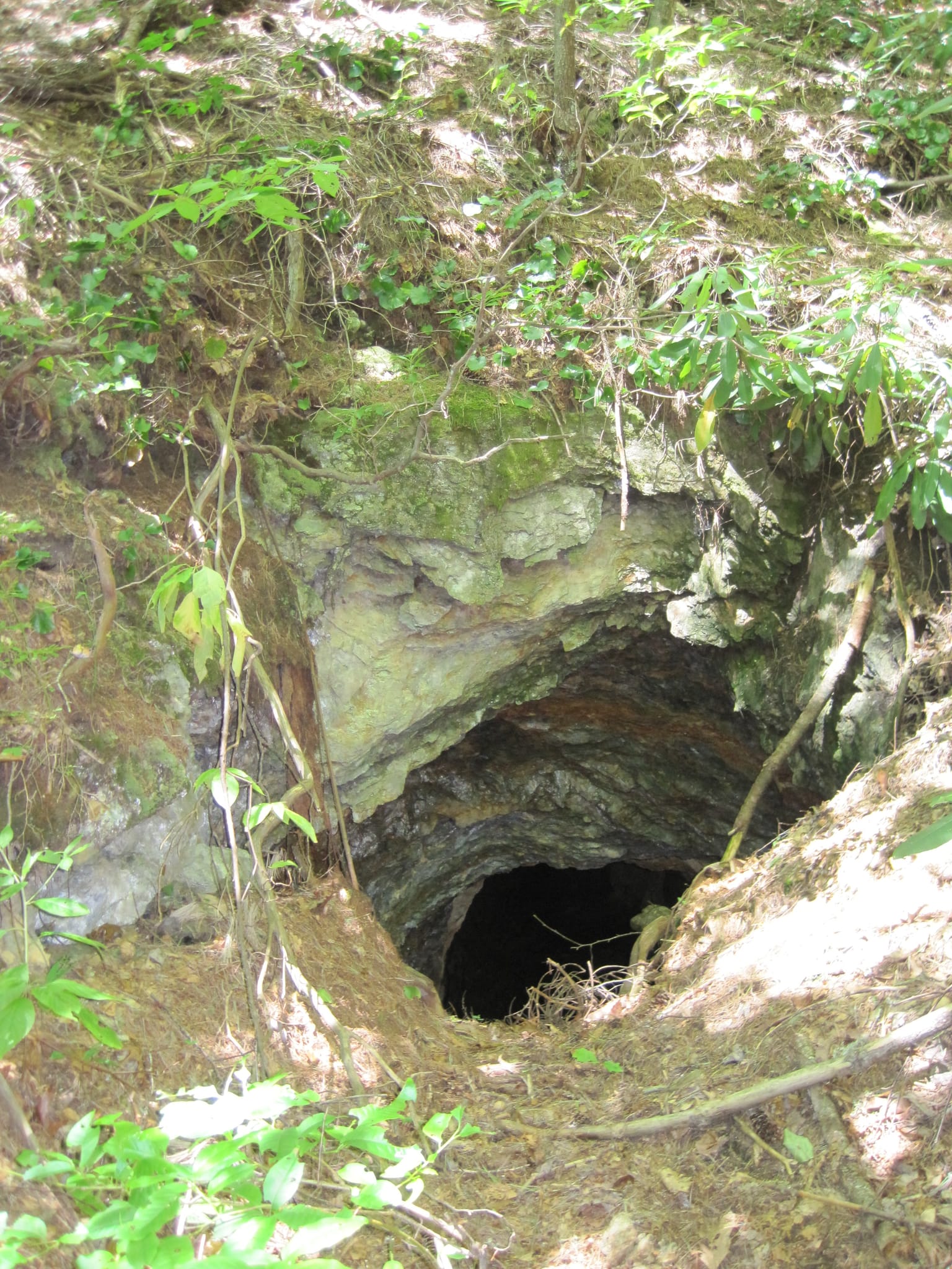 Hazel Creek Hike - Great Smoky Mountains, NC 226