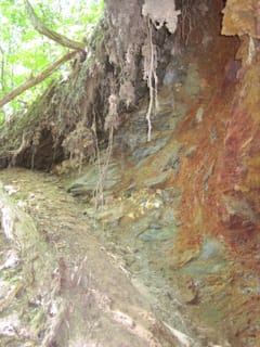 Hazel Creek Hike - Great Smoky Mountains, NC 228