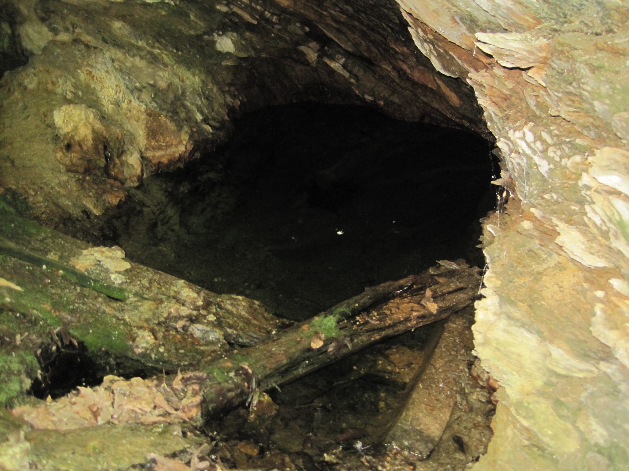 Hazel Creek Hike - Great Smoky Mountains, NC 71