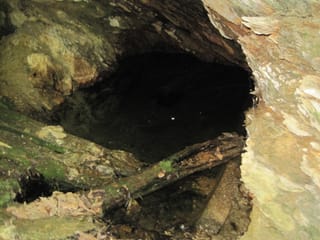 Hazel Creek Hike - Great Smoky Mountains, NC 71