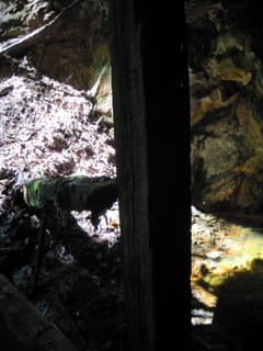 Hazel Creek Hike - Great Smoky Mountains, NC 229