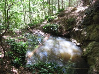Hazel Creek Hike - Great Smoky Mountains, NC 81