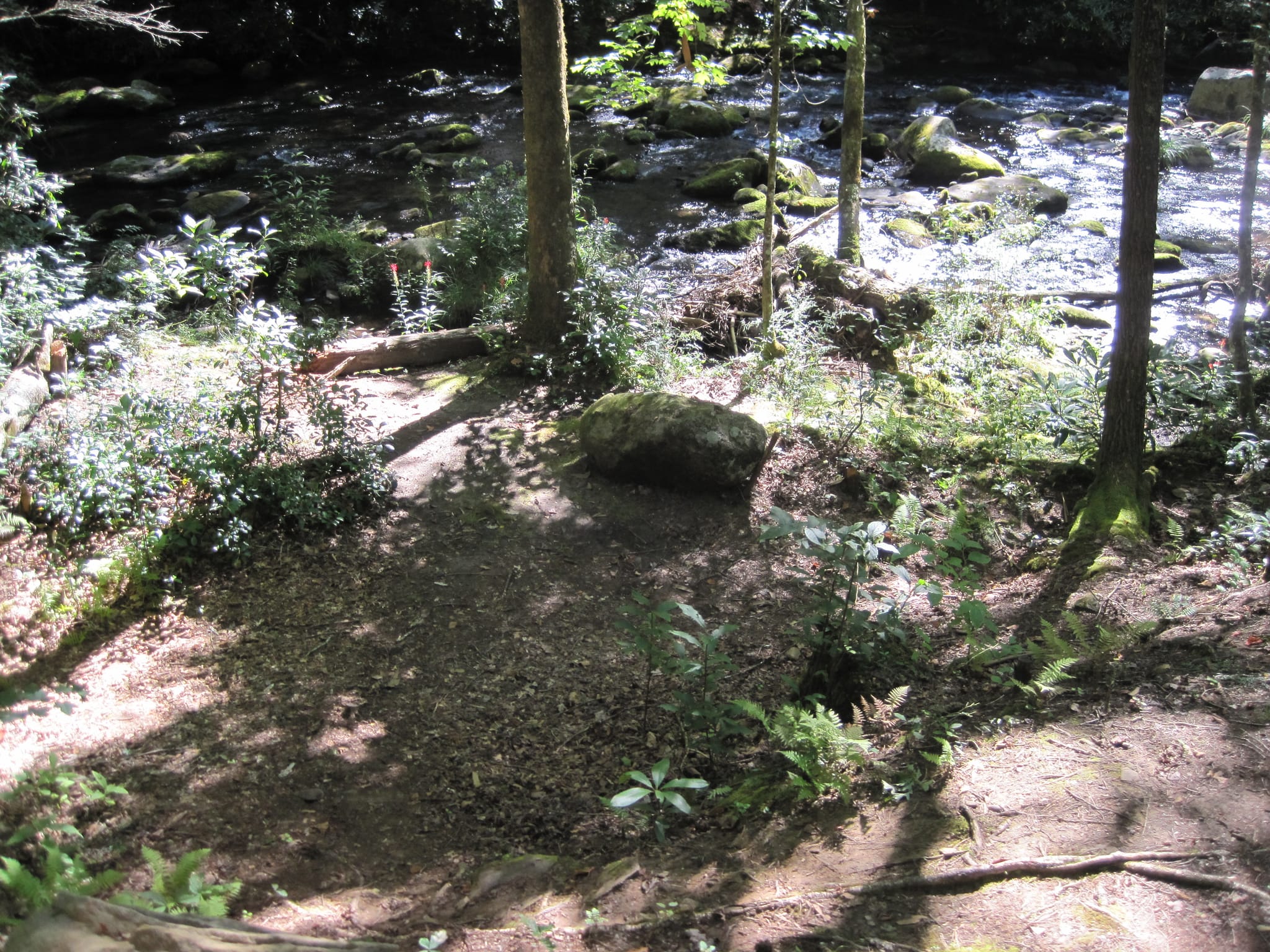 Hazel Creek Hike - Great Smoky Mountains, NC 59