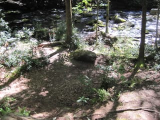 Hazel Creek Hike - Great Smoky Mountains, NC 59