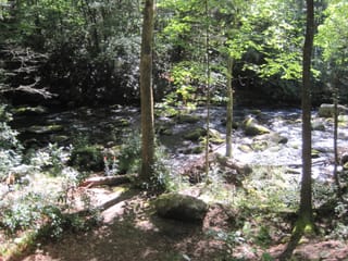 Hazel Creek Hike - Great Smoky Mountains, NC 107