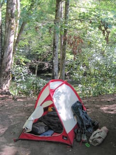 Hazel Creek Hike - Great Smoky Mountains, NC 238