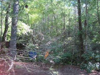 Hazel Creek Hike - Great Smoky Mountains, NC 114
